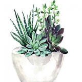 Canvas Saksıdaki Çiçekler Sayılarla Boyama Seti  Kasnaklı 40 x 50 cm