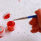 Canvas Redkit Sayılarla Boyama Seti Kasnaklı 40 x 50 cm