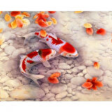 Canvas Japon Balıkları Sayılarla Boyama Seti  Kasnaklı 40 x 50 cm