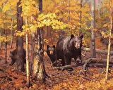 Canvas Ayı Ailesi Sayılarla Boyama Seti Kasnaklı 40 x 50 cm