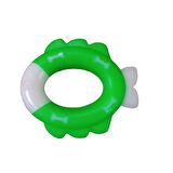 Balık Kemik Yeşil 15 cm