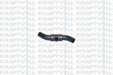 Kraftvoll 10031701 Karbüratör Hortumu R20 7700851307