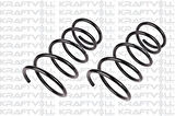 Kraftvoll 15020060 On Helezon Yayı Mazda 323 90-95 Sedan OEB45834011