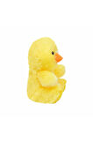 Sevimli Civciv Peluş Oyuncak 20 Cm