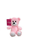 Sevimli Ayıcık Peluş Oyuncak 15 cm