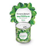 Buffer® Konserve Bahçem Evde Konservede Sultani Bamya Yetiştirme Kiti
