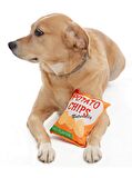 Köpek Oyuncak Potato Chips