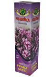 Aromatik Funda Suyu 1 Litre