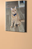 Sayılarla Boyama Seti Çerçeveli Kasnaklı Süslü Kedi 40x50 Cm