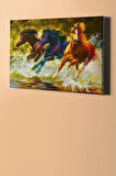 Sayılarla Boyama Seti Çerçeveli Kasnaklı 3 At 40x50 Cm