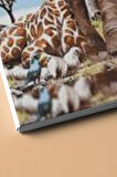 Safari Gezisi Sayılarla Boyama Seti Kasnaklı 40x50 Cm