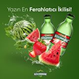 Kızılcahamam Çamlık Karpuz Çilek Aromalı Maden Suyu 200 Ml X 24 Adet