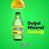 Kızılcahamam Çamlık Nane Limon Aromalı Maden Suyu 200 Ml X 24 Adet