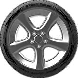 Petlas Velox Sport PT741 275/35R18 99W RF