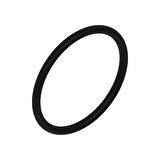 O-Ring L53861