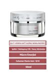 Q10 Yaşlanma Karşıtı Celumer-Deniz Özlü 30 Yaş + Gece-Gündüz Yüz ve Boyun Kremi 50 ml