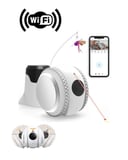 WiFi Akıllı Takip Kamerası Lazer Oyunlu Evcil Hayvan Gözetim Sistemi - Lisinya