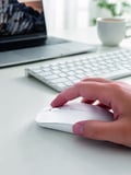 PG-908 MOUSE BEYAZ - Lisinya