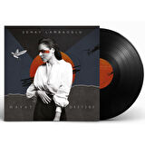 Şenay Lambaoğlu - Hayat Defteri Plak.