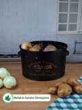 Büyük Boy Bölmeli Patates Soğan Kovası Metal Kapaklı Sebzelik (Delicious Traditions Baskılı) LN1000