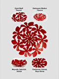 Daisy Dekoratif Tabak, Meyvelik 33 cm