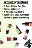 Oda Kokusu Yapma Kiti 'My Special Scent' Kendi Kokunu Oluştur