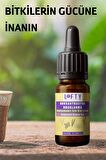 Konsantrasyon - Odaklanma Sinerji Karışım Esansiyel Uçucu Yağ Buhurdanlık Yağı Aromaterapi Difüzör,