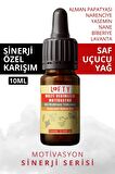 Multi Verimlilik Motivasyon Sinerji Karışım Esansiyel Uçucu Yağ Buhurdanlık Yağı Aromaterapi Difüzör
