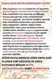 Romantisizim - Afrodizyak Sinerji Karışım Esansiyel Uçucu Yağ Buhurdanlık Yağı Aromaterapi Difüzör
