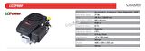 Loncin LC1P96F Marşlı Dikey Şaftlı Tek Motor 17 HP
