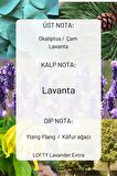 Pudra, Amber, Lavanta - Viski Model Cam Şişe Oda ve Çamaşır Spreyi Vegan İçerik / Oda Parfümü 3X