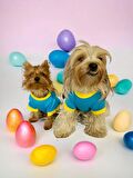 Hediye Paketli, Anneye Hediye, Love Mom Blue, Oval Yaka Tişört Köpek Kıyafeti,Elbisesi Anneler Günü, Anneye, Anne 