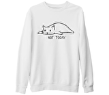 Kedi - Not Today! Beyaz Kalın Sweatshirt