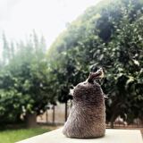 4 Ay Olgunlaştırılmış Deri Tulum Peyniri 500G