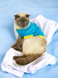 Hediye Paketli, Anneye Hediye, Love Mom Blue, Oval Yaka Tişört Kedi Kıyafeti,Elbisesi Anneler Günü, Anneye, Anne