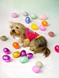 Hediye Paketli, Anneler Günü, I Love Mom Pink,Oval Yaka Tişört Köpek Kıyafeti,Elbisesi Anneler Günü, Anneye, Anne 