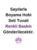 Renkli Baskılı Sayılarla Boyama Hobi Seti (Çerçeveli) 40x50 cm: Dansçı Kadın 2