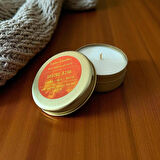 SPICED KISS ELMA ,TARÇIN ,VANİLYA SOYA MUM TENEKE KUTU