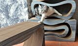 Dekoratif Karton Kedi Tırmalama Kanepesi 2'li Set (43x24x8,5 cm & 59x24x26 cm) - Small & Large - Okyanus Desen