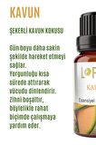 Kavun Uçucu Yağ Buhurdanlık Esansı Oda Kokusu Uçucu Esansiyel Yağ Buhur Yağı 10ML
