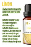 Limon Uçucu Yağ Buhurdanlık Esansı Oda Kokusu Uçucu Esansiyel Yağ Buhur Yağı 10ML