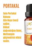 Portakal Uçucu Yağ Buhurdanlık Esansı Oda Kokusu Uçucu Esansiyel Yağ Buhur Yağı 10ML