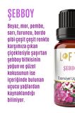 Şebboy Uçucu Yağ Buhurdanlık Esansı Oda Kokusu Uçucu Esansiyel Yağ Buhur Yağı 10ML