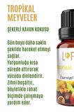 Tropikal Meyveler Uçucu Yağ Buhurdanlık Esansı Oda Kokusu Uçucu Esansiyel Yağ Buhur Yağı 10ML