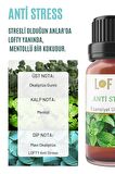 Anti Stress Uçucu Yağ Buhurdanlık Esansı Oda Kokusu Uçucu Esansiyel Yağ Buhur Yağı 10ML