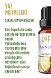 Yaz Meyveleri Uçucu Yağ Buhurdanlık Esansı Oda Kokusu Uçucu Esansiyel Yağ Buhur Yağı 10ML