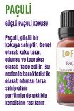 Paçuli Uçucu Yağ Buhurdanlık Esansı Oda Kokusu Uçucu Esansiyel Yağ Buhur Yağı 10ML