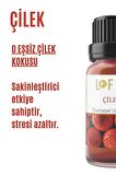 Çilek Uçucu Yağ Buhurdanlık Esansı Oda Kokusu Uçucu Esansiyel Yağ Buhur Yağı 10ML