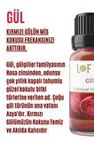 Gül Uçucu Yağ Buhurdanlık Esansı Oda Kokusu Esansiyel Yağ Buhur Yağı 30ML