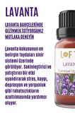 Lavanta Uçucu Yağ Buhurdanlık Esansı Oda Kokusu Esansiyel Yağ Buhur Yağı 30ML